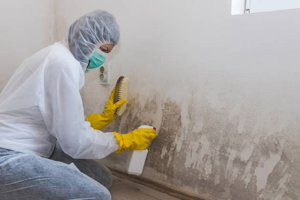 Best Mold Remediation for Rental Properties  in Lisbon Falls, ME