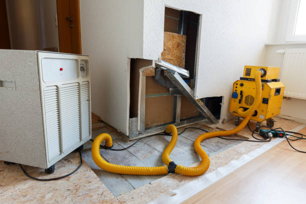 Best Commercial Mold Inspection  in Lisbon Falls, ME